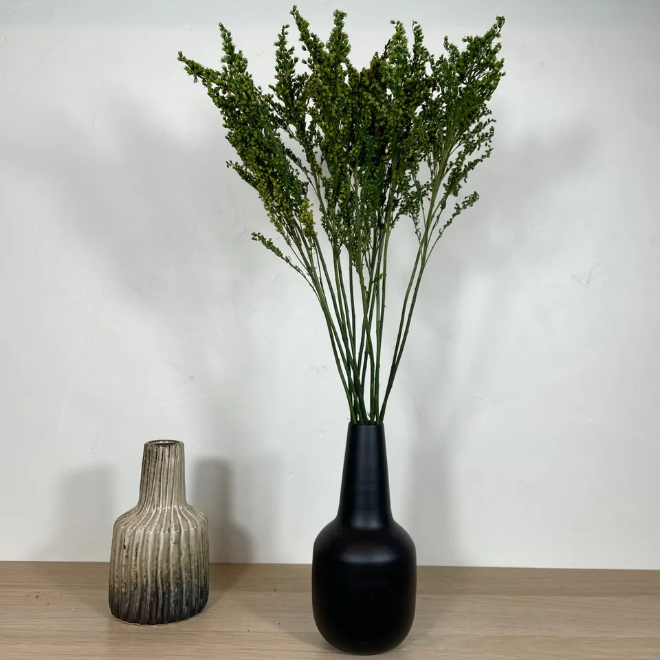 Ateliers Ouchamp Solidago stabilisé botte verte 30 cm