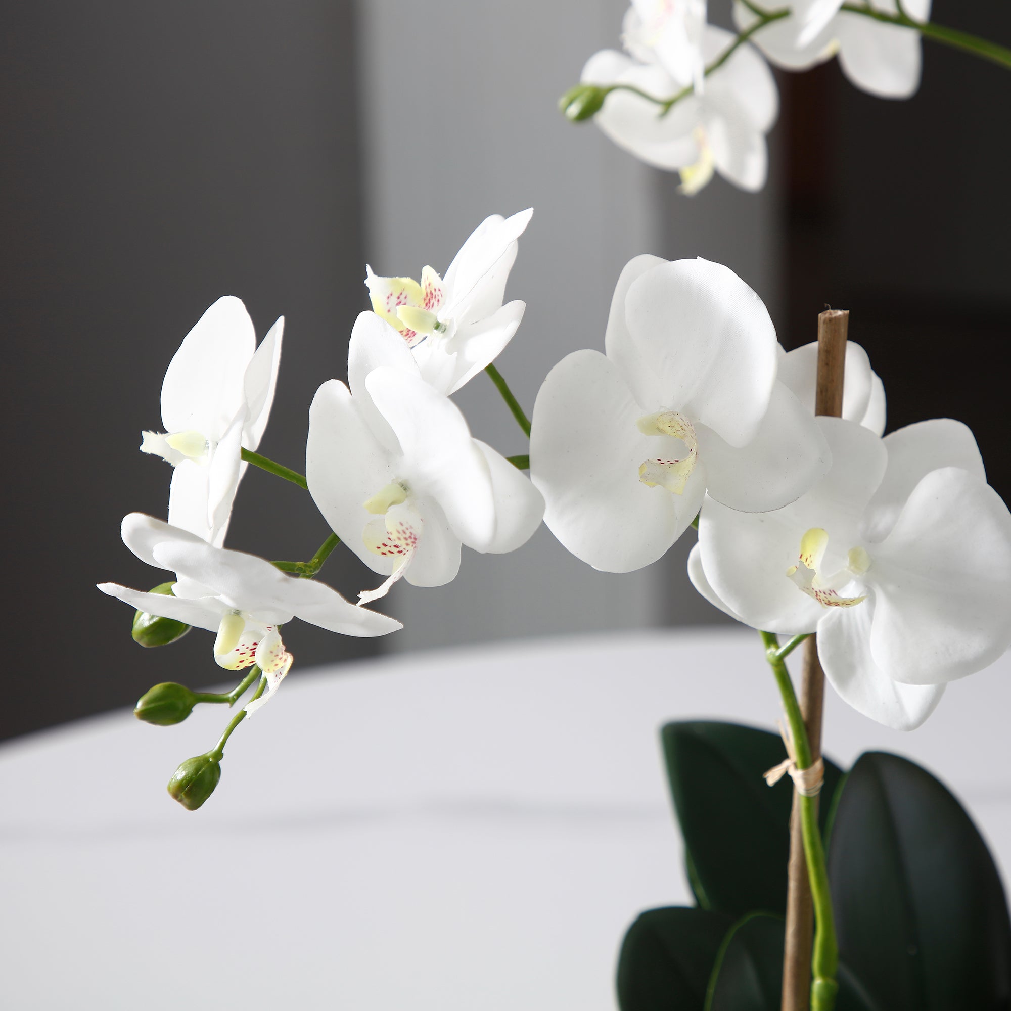 Sia Home Compositions Lena orchidée artificielle 56cm blanc