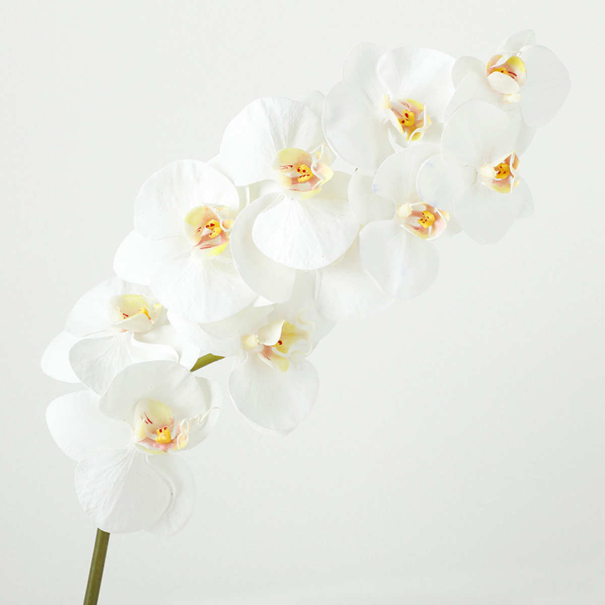 Sia tige orchidée artificielle blanche 100 cm premium