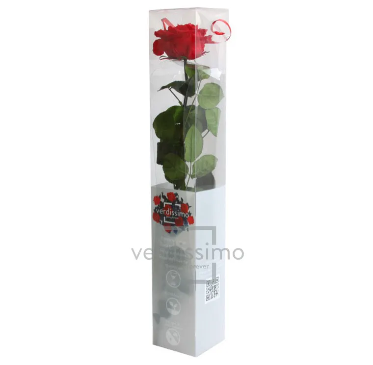 Feuillazur Rungis Rose stabilisée premium tige rouge 54 cm