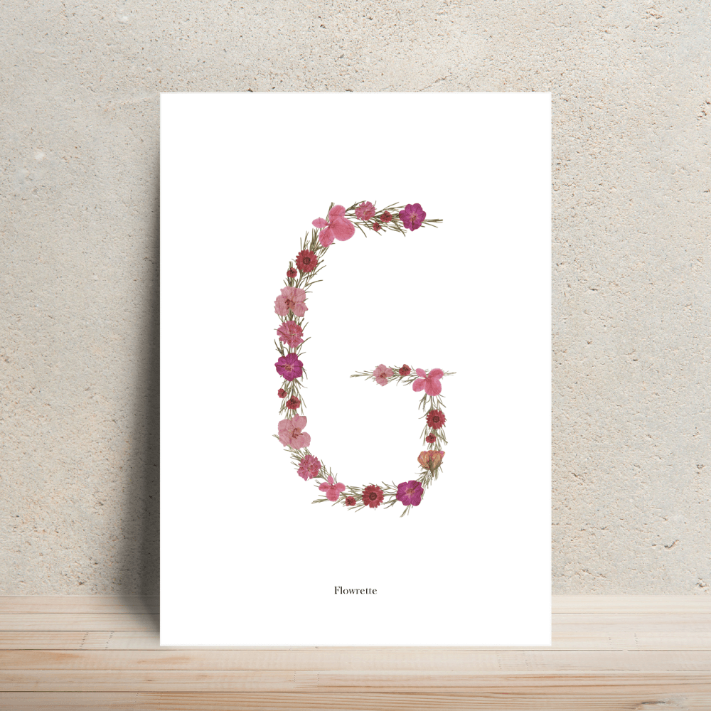 Flowrette affiche A4 herbier lettre R rose