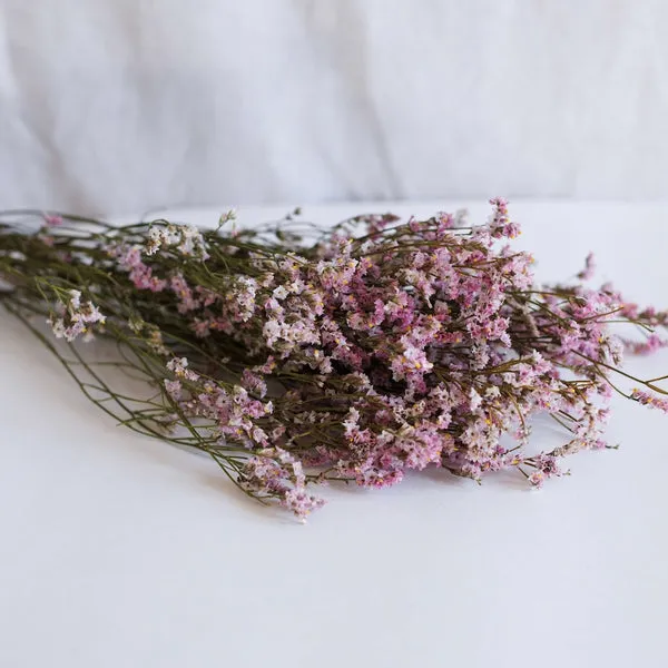 Flowrette Limonium Rosa botte fleurs séchées rose