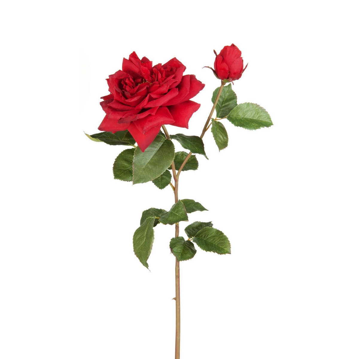 Sia Home Rose David ouverte tige artificielle rouge 80 cm