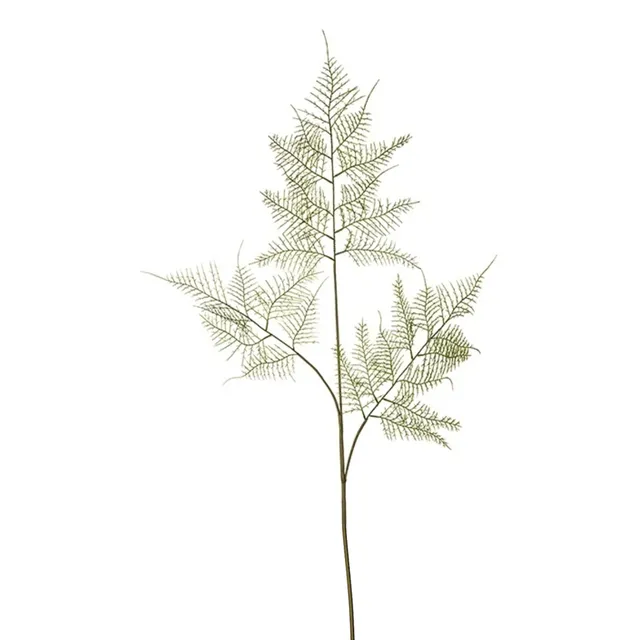 Sia Home Feuillages Asparagus 90 cm tige verte plastique