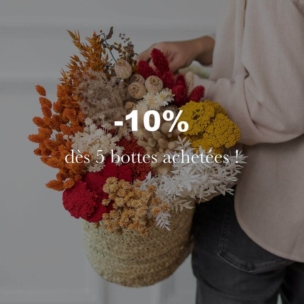 Flowrette Broom Bloom botte fleur séchée orange x1
