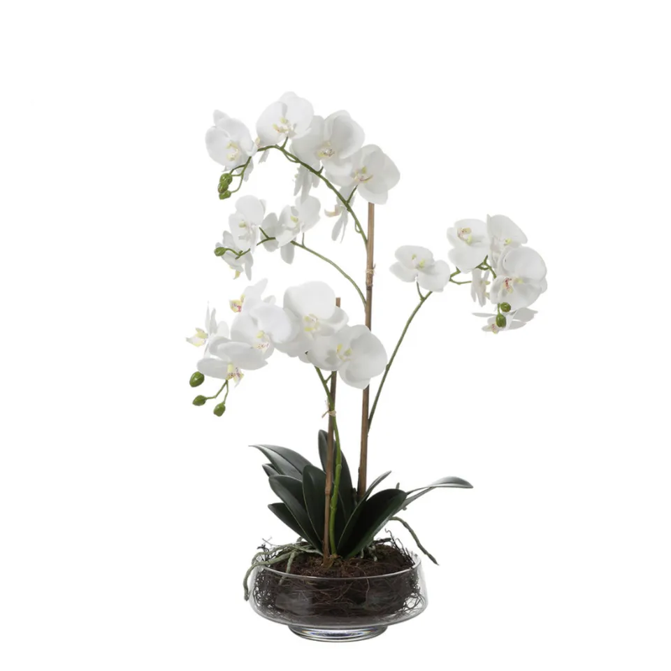 Sia Home Compositions Lena orchidée artificielle 56cm blanc