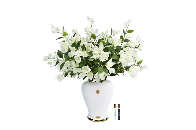 Côte Noire Imperial IMPWB01 bougainvillée blanche urne