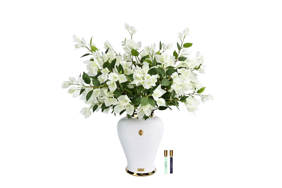 Côte Noire Imperial IMPWB01 bougainvillée blanche urne