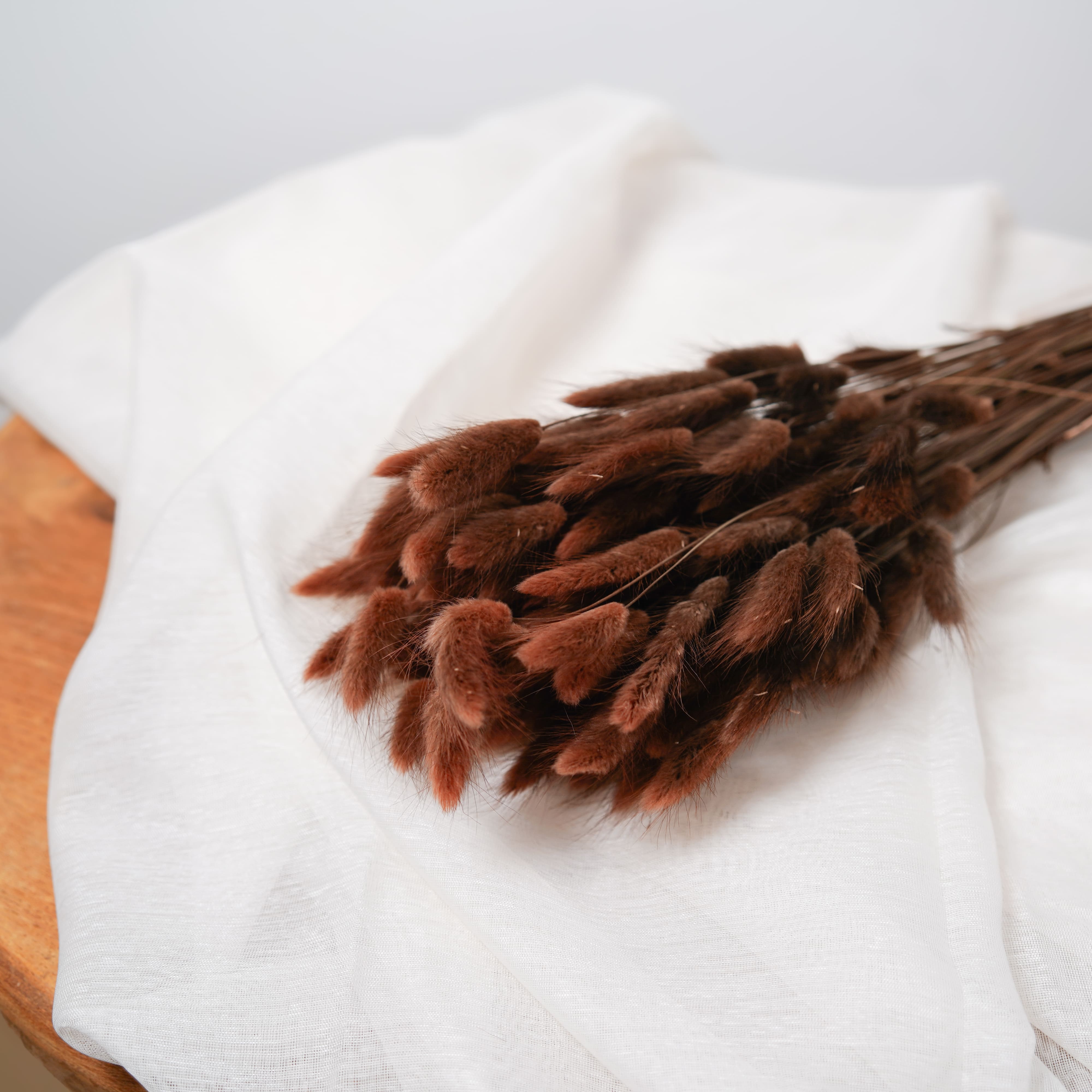Flowrette Lagurus marron fleurs séchées botte queue-lièvre