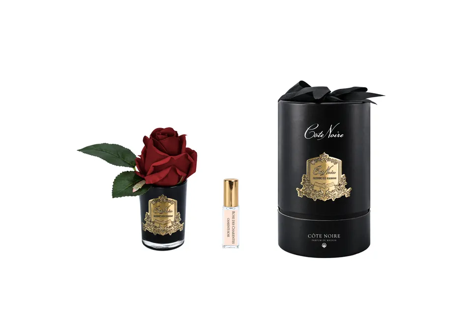 Côte Noire Perfumed RMRB44 fleur parfumée rouge vase noir