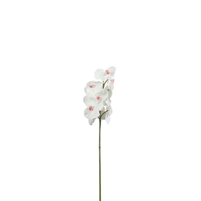 Sia Home Tige Orchidée Bandailan 60 cm blanc rose fleur
