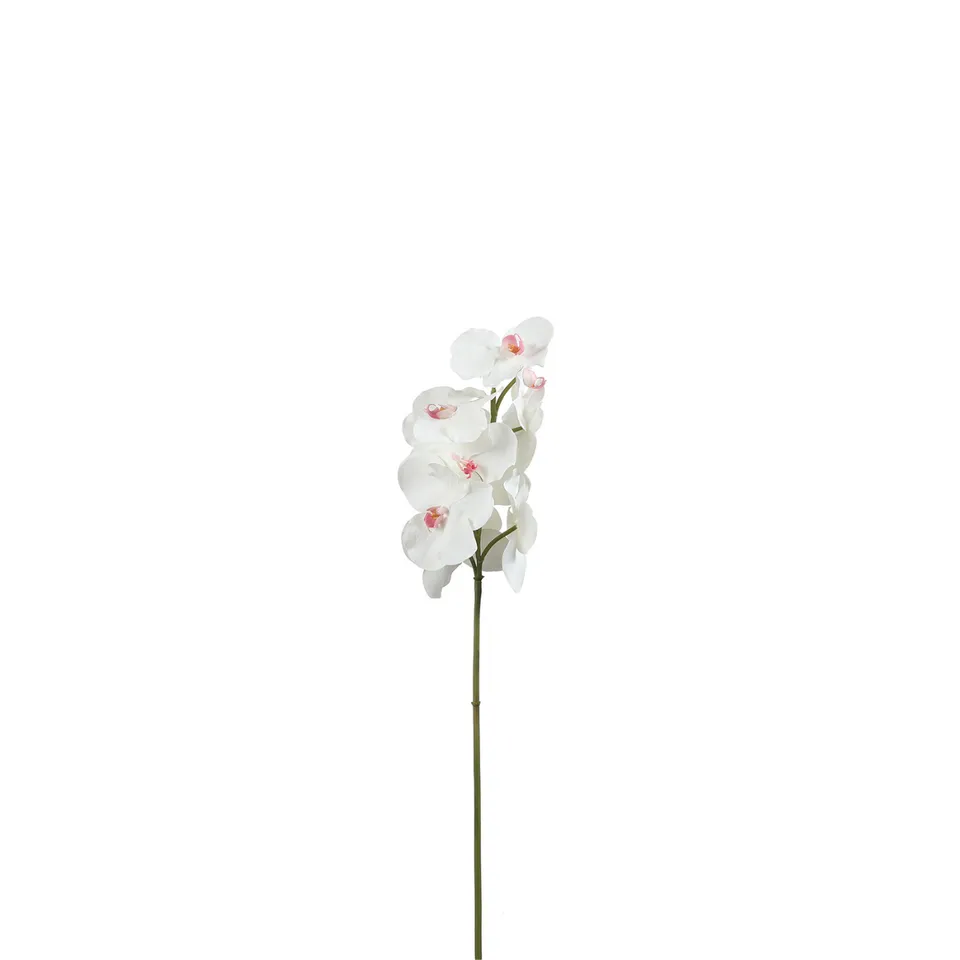 Sia Home Tige Orchidée Bandailan 60 cm blanc rose fleur