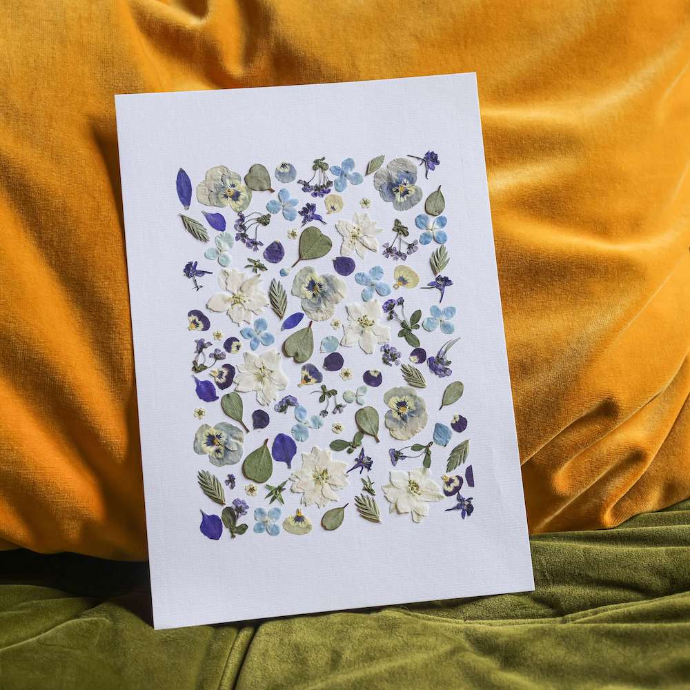 Flowrette Idylle Provençale herbier A4 fleurs séchées