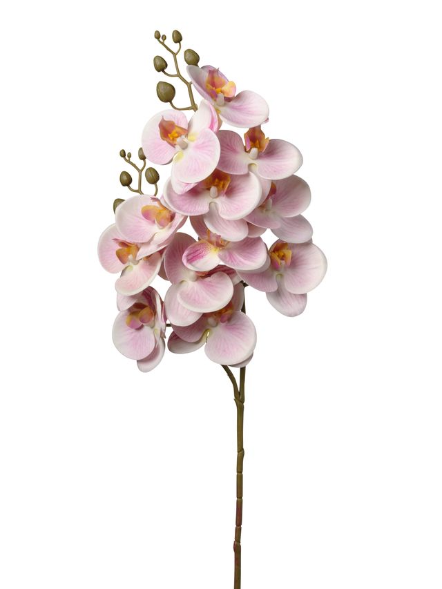 Feuillazur Rungis orchidée fleur artificielle blanche 74cm