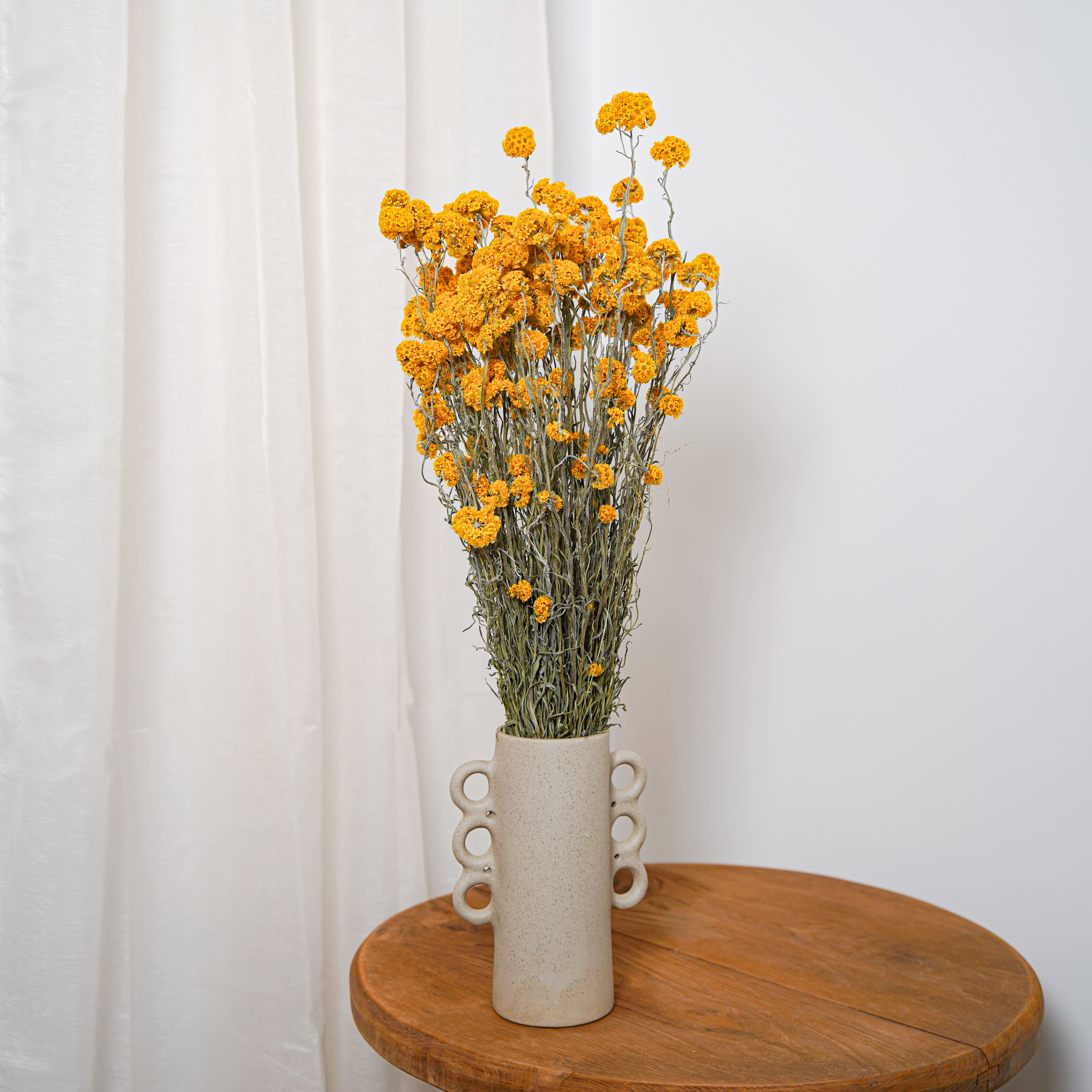 Flowrette Sanfordii botte fleurs séchées jaune x1 lumineuse