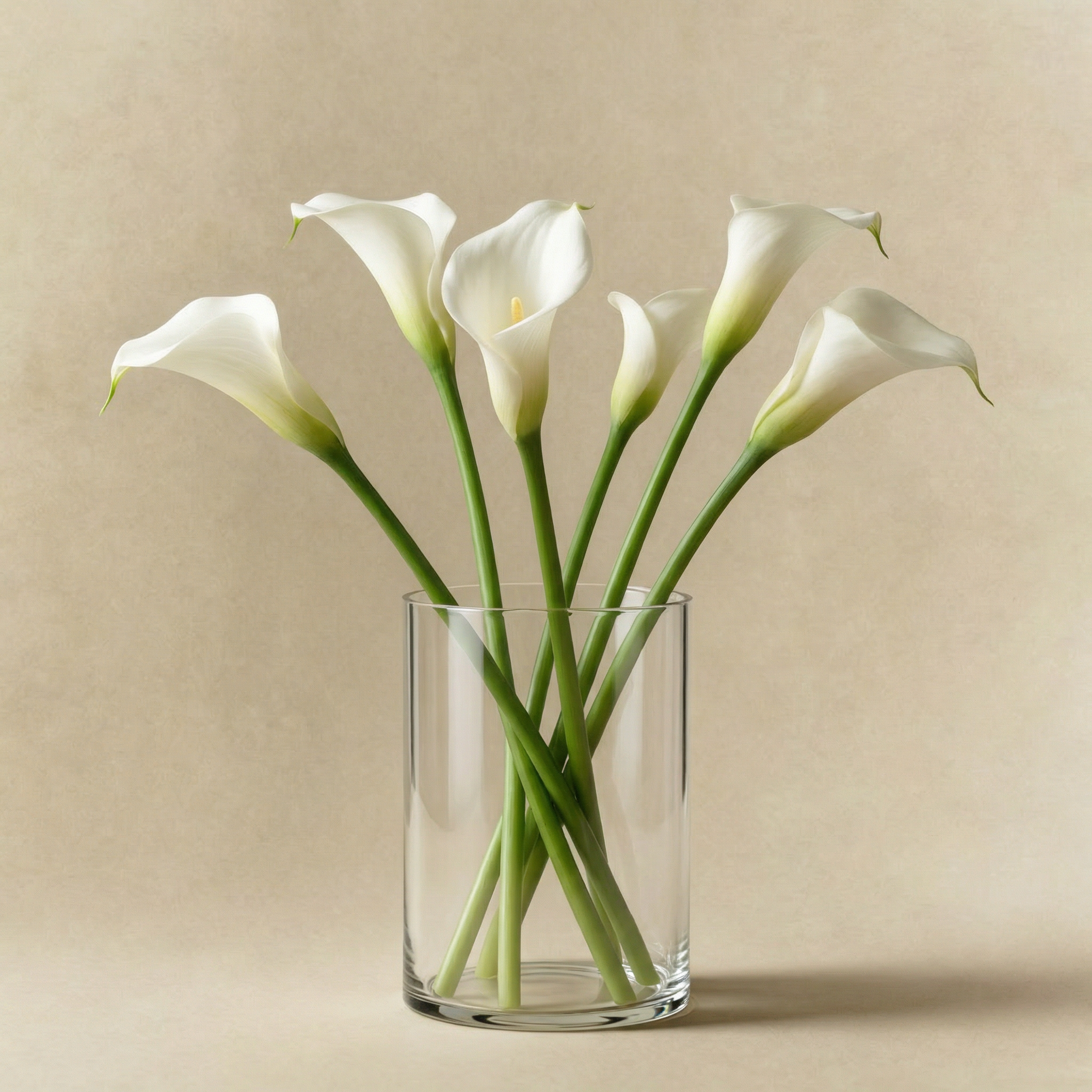 Sia Home Halo photophore vase verre 12 cm transparent