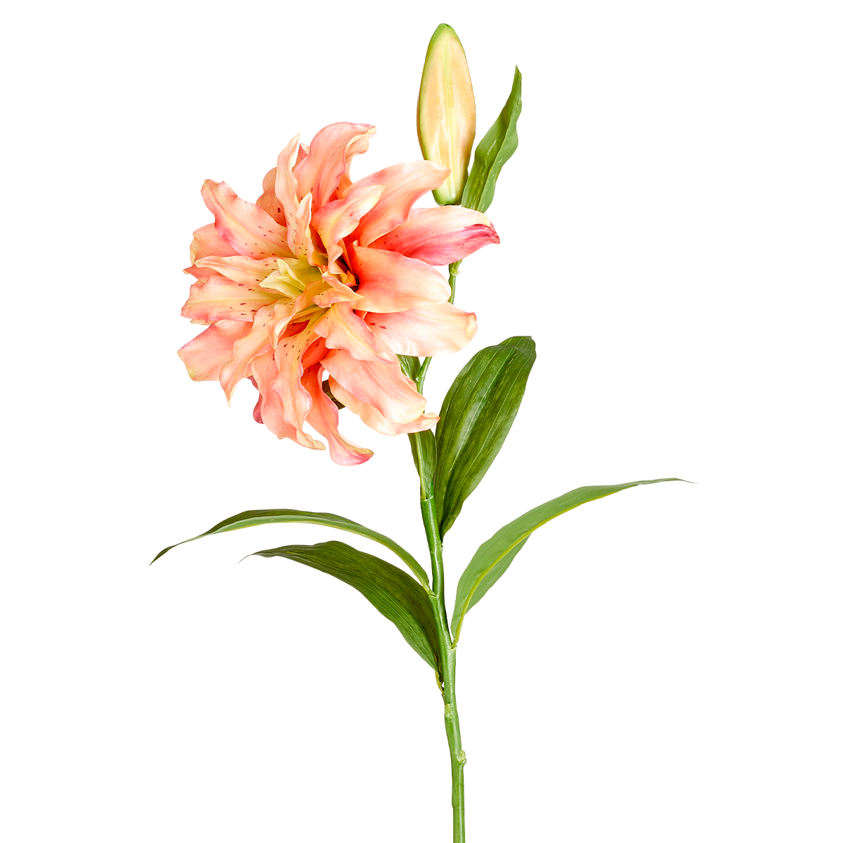 Sia Home Tige Lys Oriental Double fleur orange 78 cm