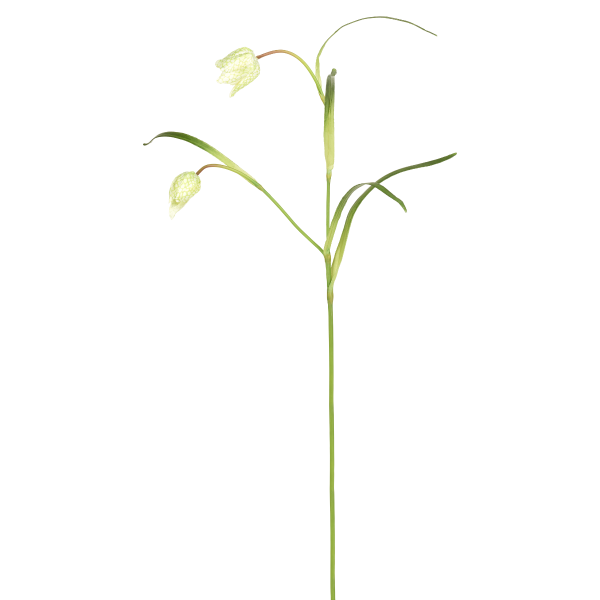 Sia Home Fritillaria tige fleur artificielle rouge 70 cm