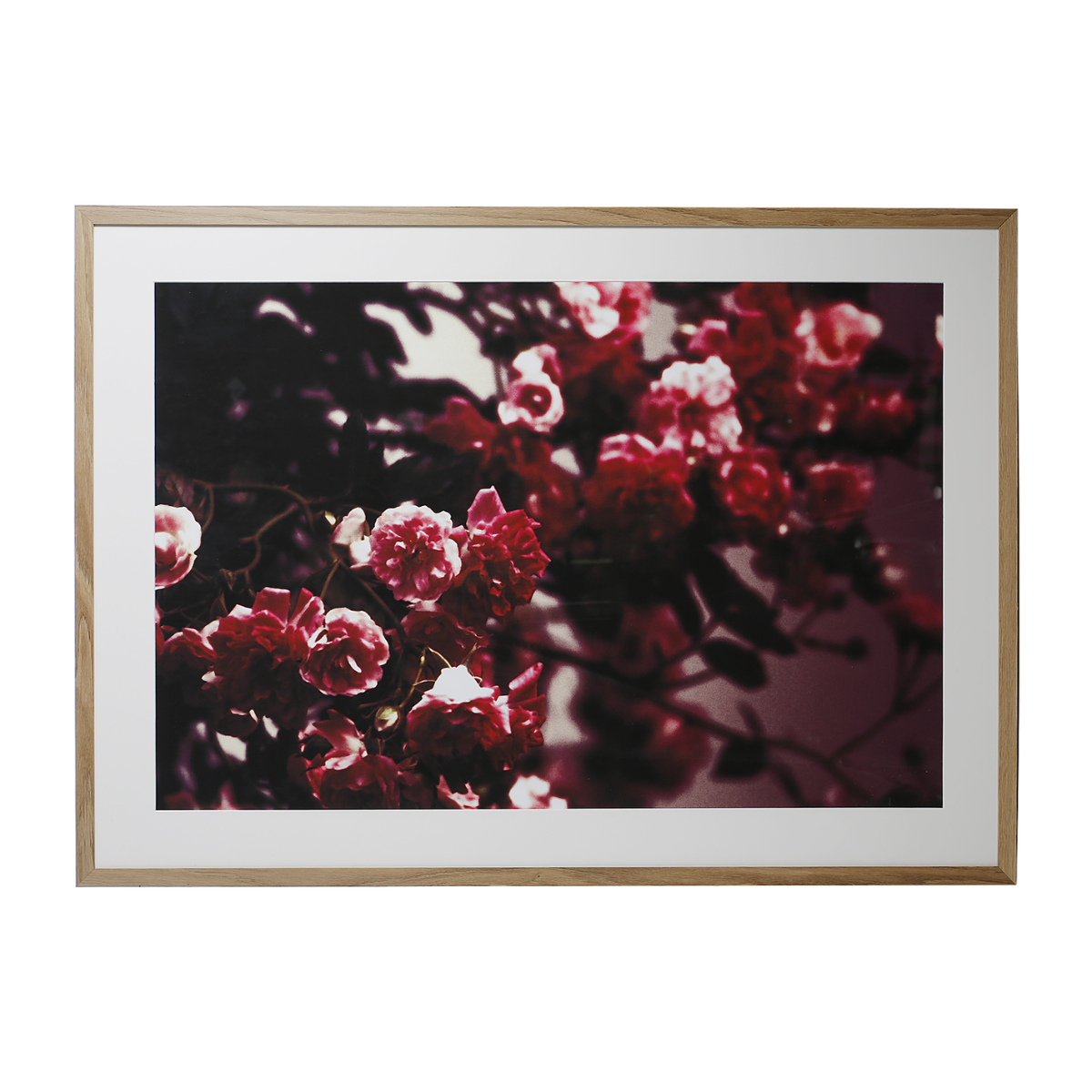 Sia Blossom cadre photo beige 104x74 cm roses