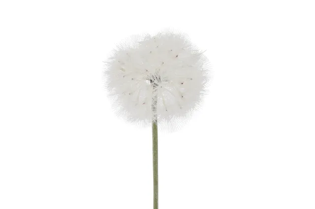 Feuillazur Rungis Allium fleur artificielle blanche 66cm