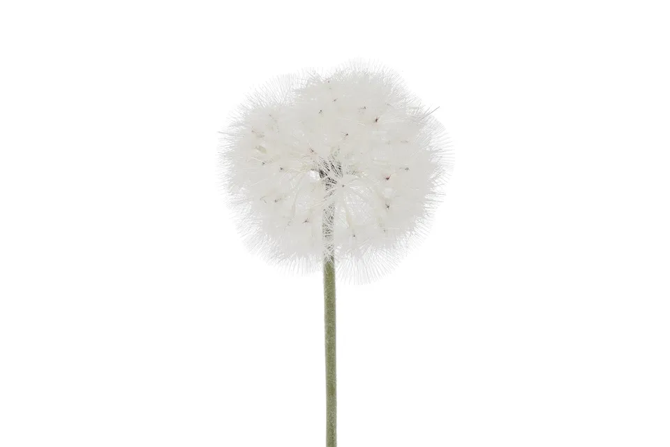 Feuillazur Rungis Allium fleur artificielle blanche 66cm