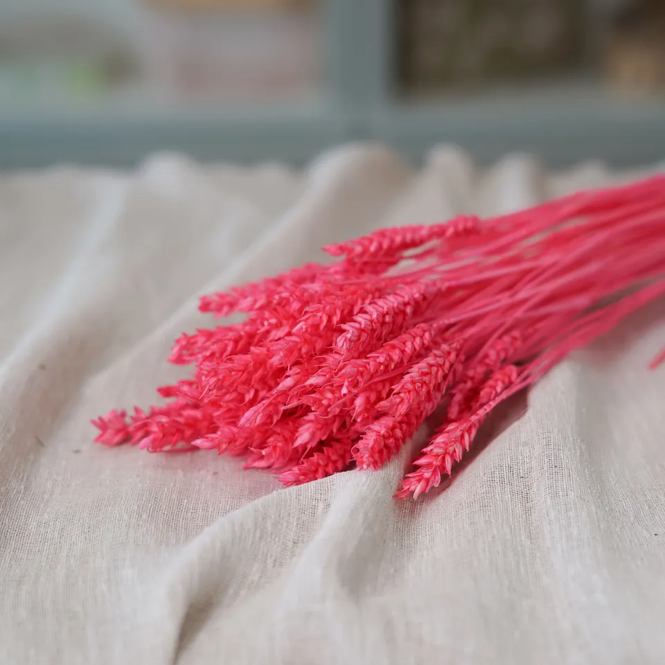 Flowrette Fleurs séchées botte blé rose intense fleur séchée x1