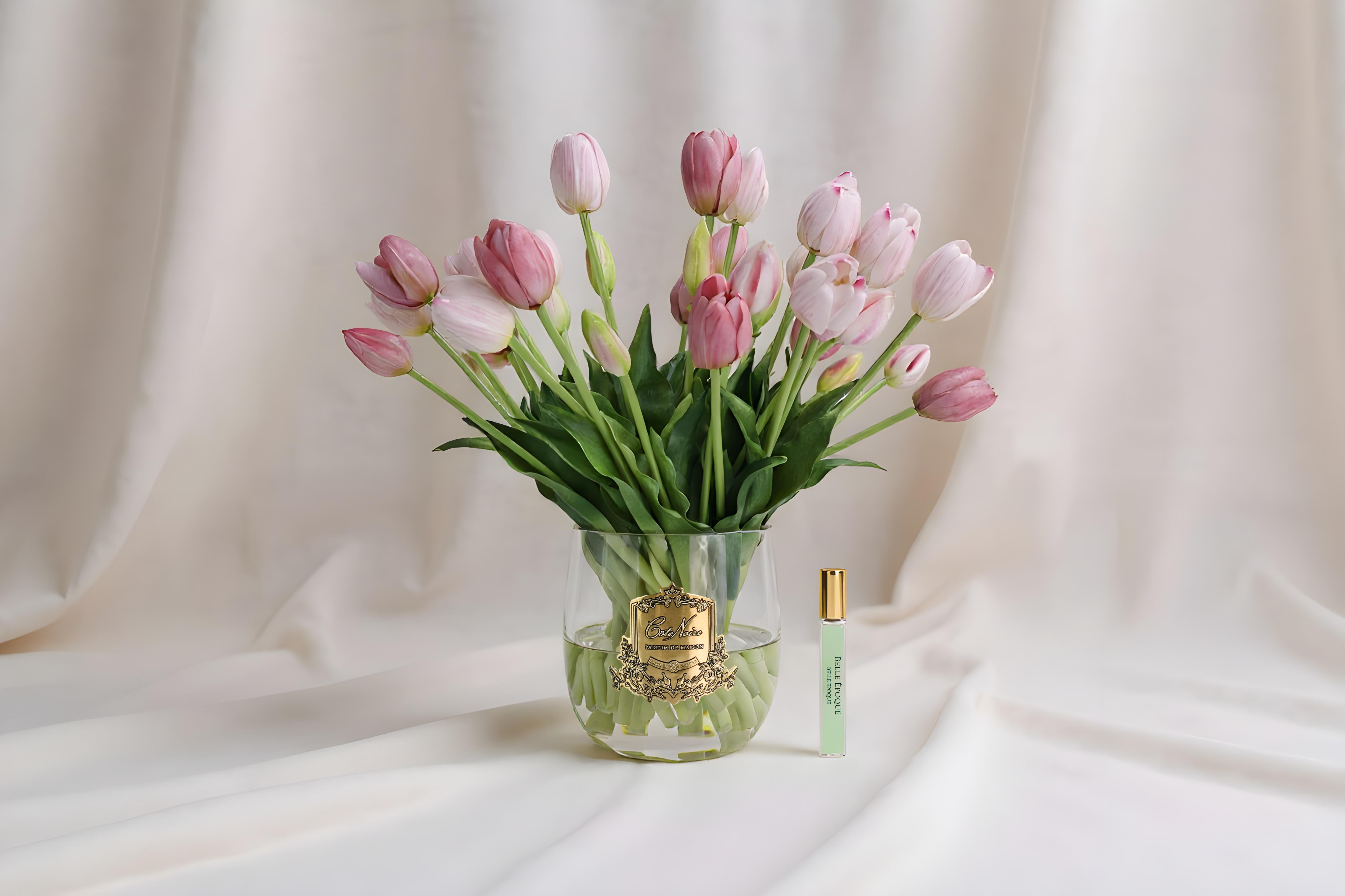 Côte Noire Heritage Tulips HT02 tulipes roses