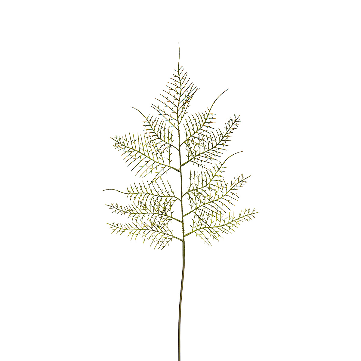 Sia Home Asparagus tige feuillage artificiel vert 62 cm