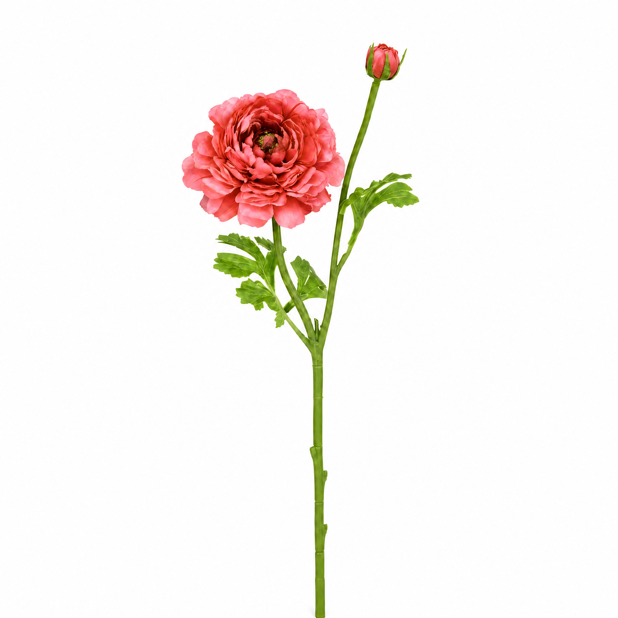 Sia Home Renoncule Nora tige artificielle rose pâle