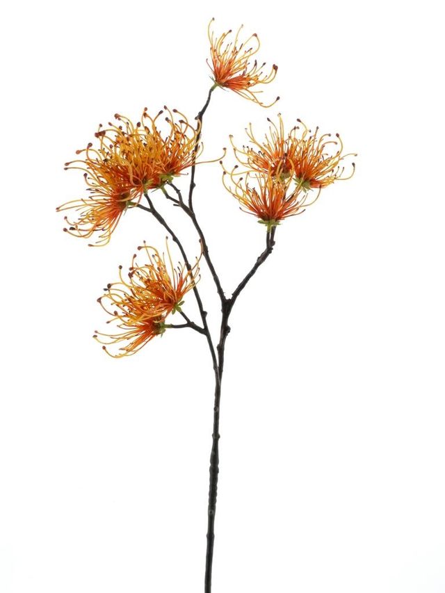 Feuillazur Rungis Spider fleur artificielle orange 70 cm