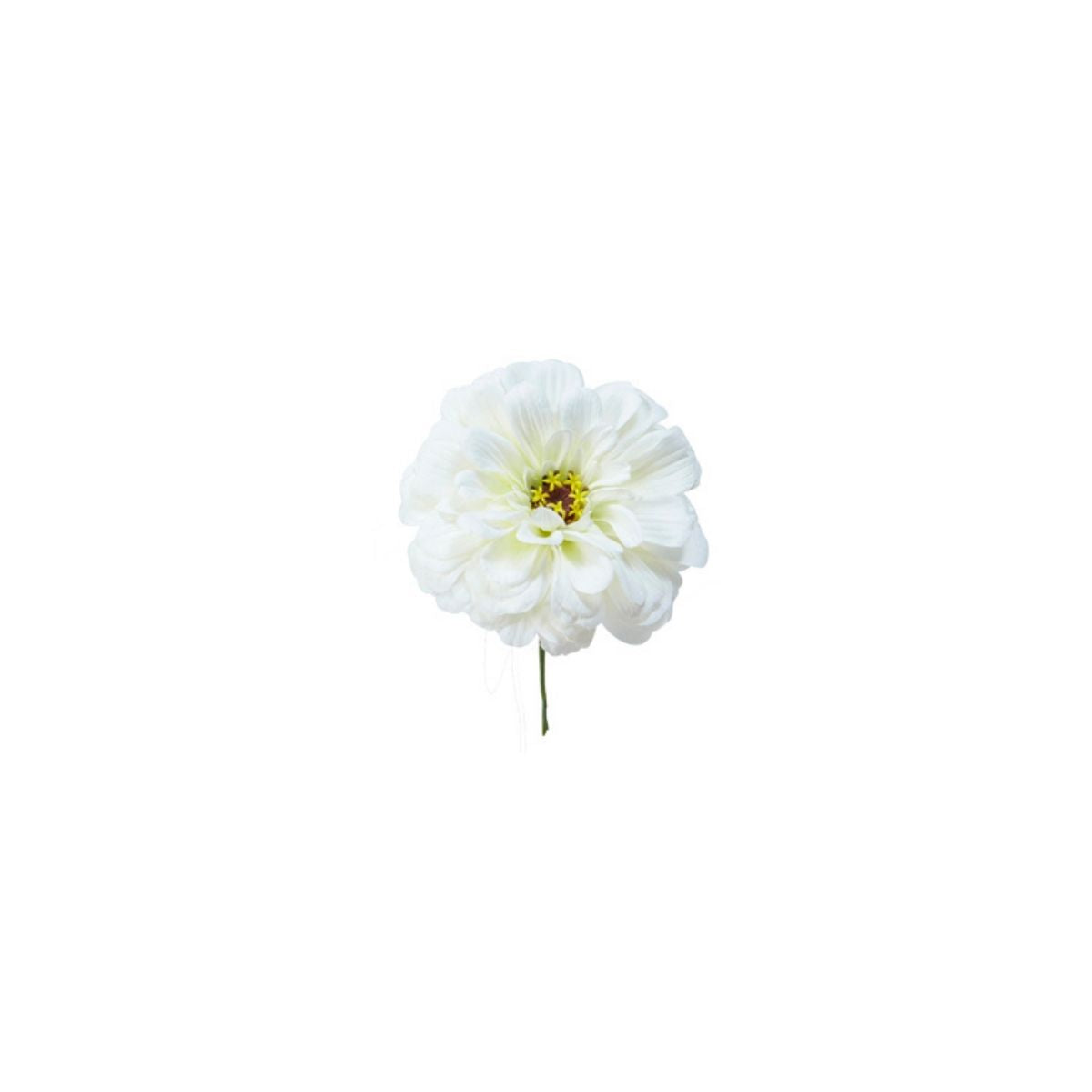 Sia Home zinnia tige à piquer blanc 18 cm