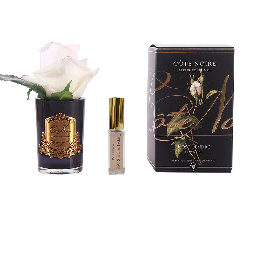 Côte Noire Perfumed GMRB42 bouton rose blush vase noir