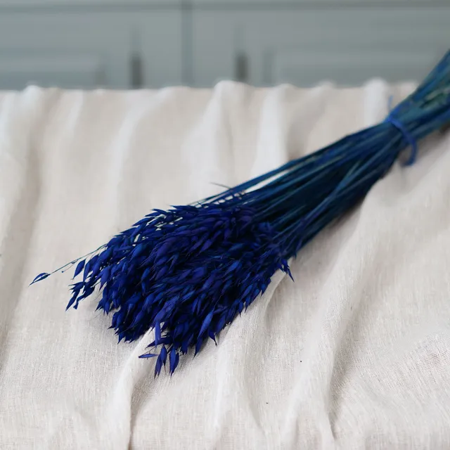 Flowrette Avoine botte séchée bleu intense x1