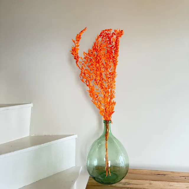 Flowrette Botte ruscus pêche fleurs séchées x1 branchage