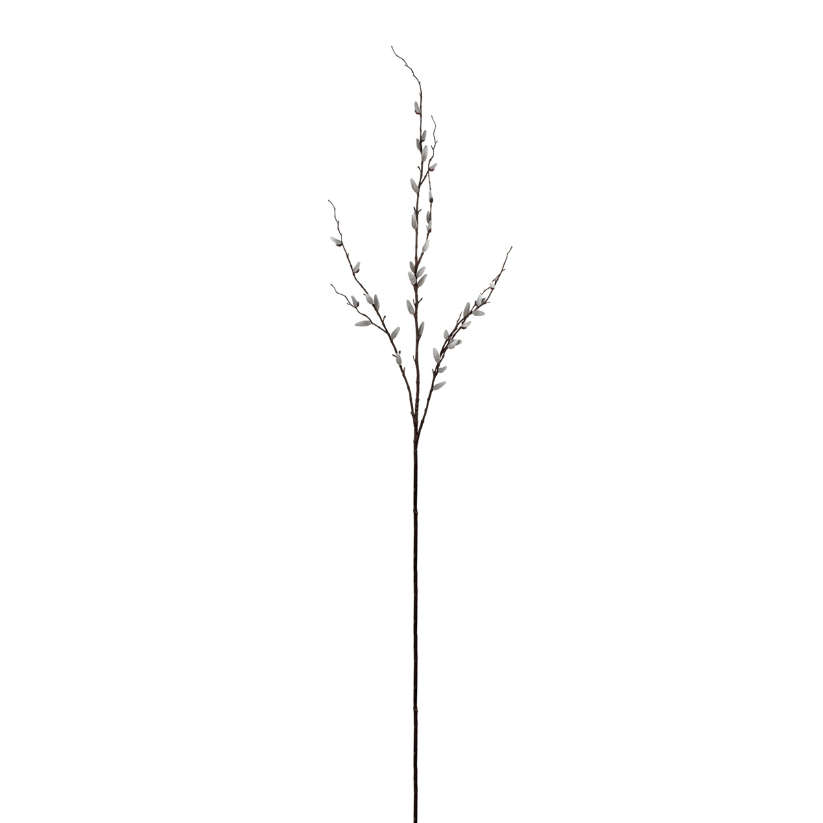 Sia Home Branche de Saule 155 cm branche artificielle crème