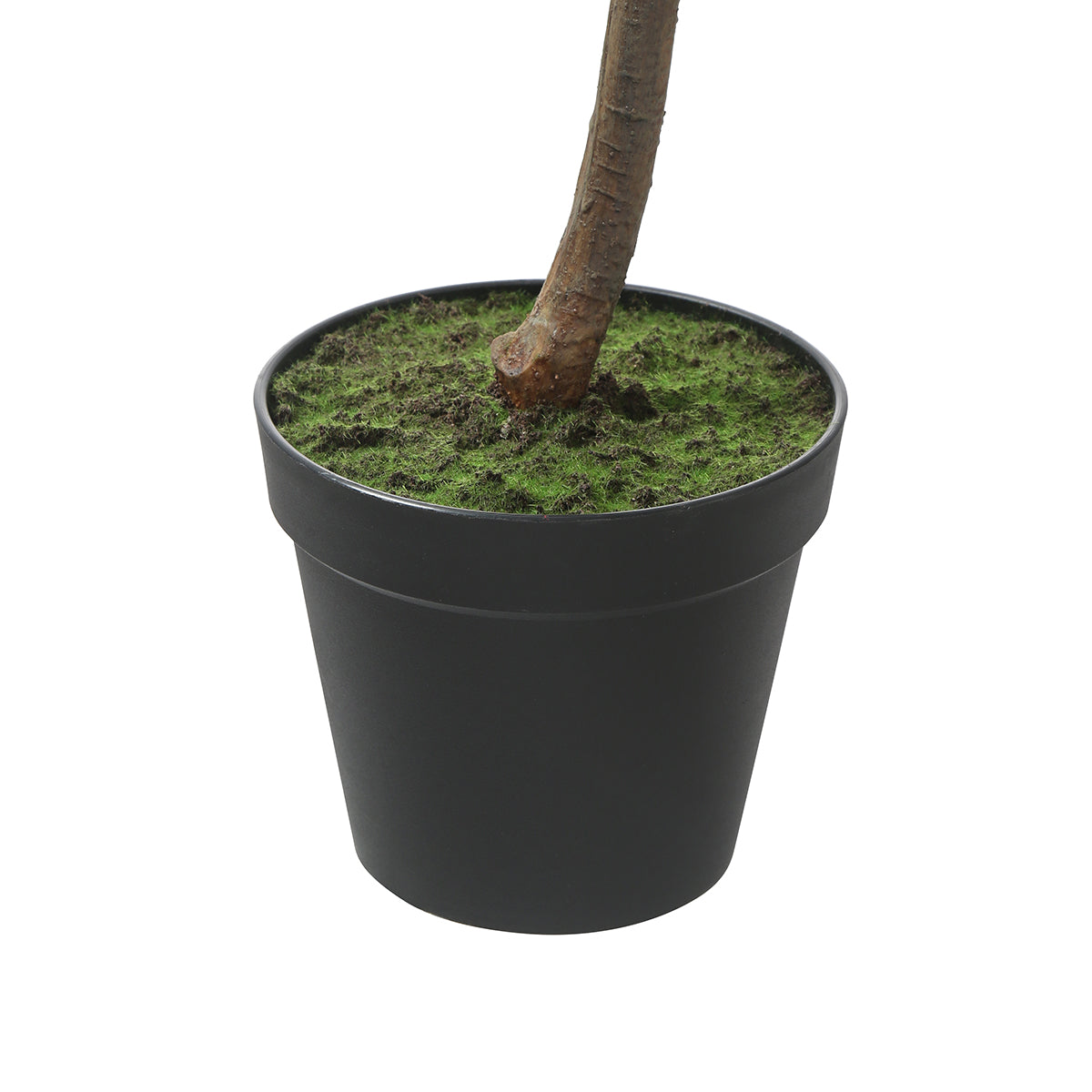 Sia Arbres artificiels Ficus en pot 165 cm vert
