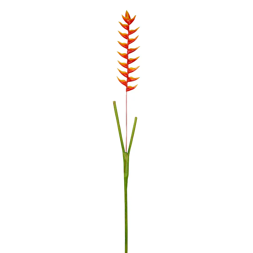 Sia Home Heliconia Rostrata tige 94 cm orange
