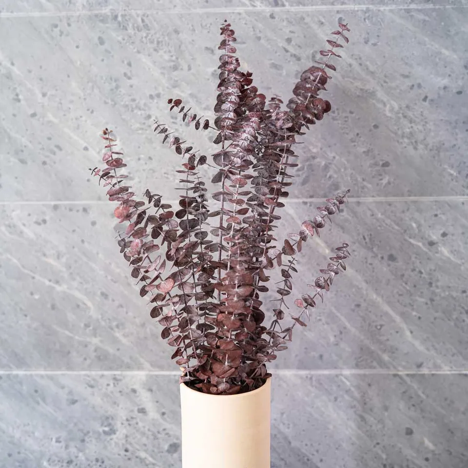 Flowrette Baby Bordeaux botte eucalyptus stabilisé x1