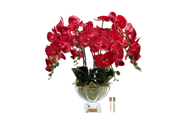 Côte Noire Centrepiece CPO14 orchidées rouges parfumées