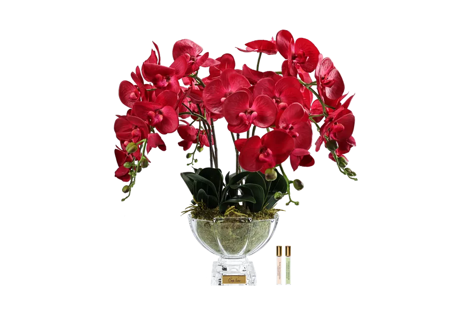 Côte Noire Centrepiece CPO14 orchidées rouges parfumées