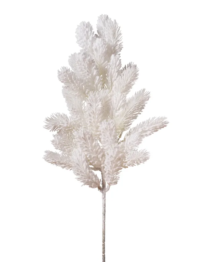 Feuillazur Rungis Branche de pin blanc feuillage Noël