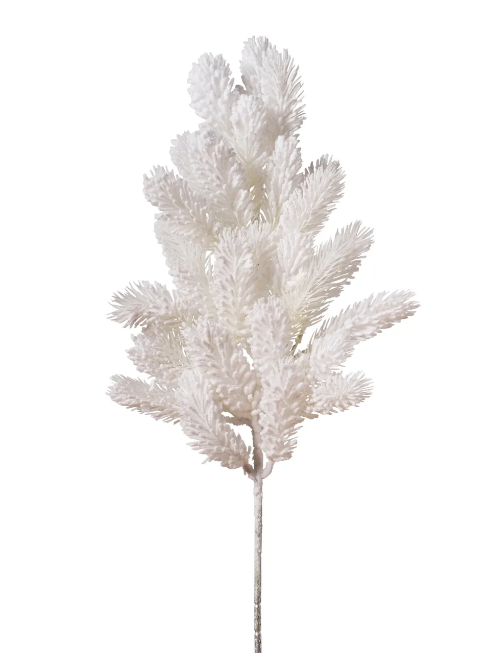Feuillazur Rungis Branche de pin blanc feuillage Noël
