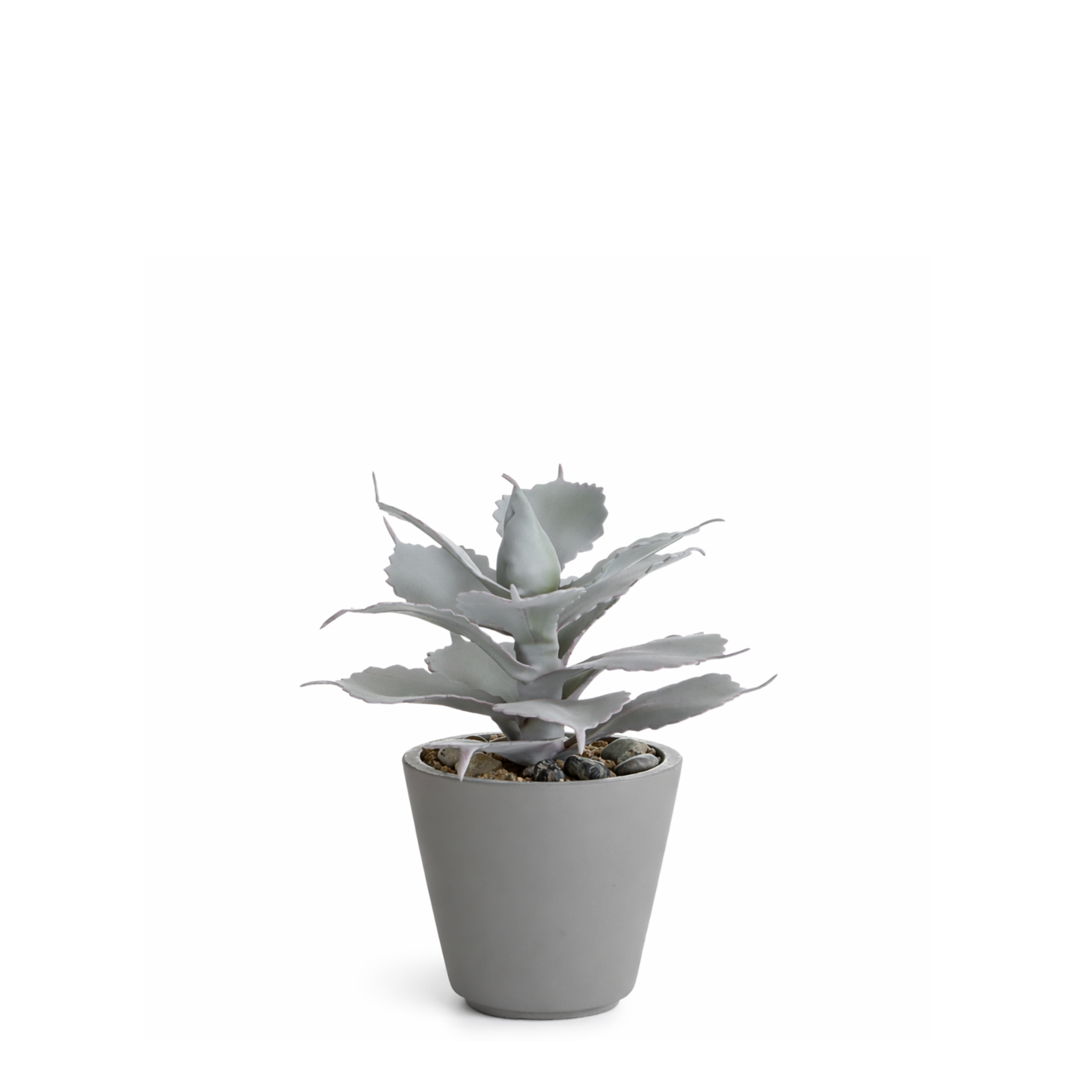 Sia Home Maya succulente artificielle rouge pot 23 cm