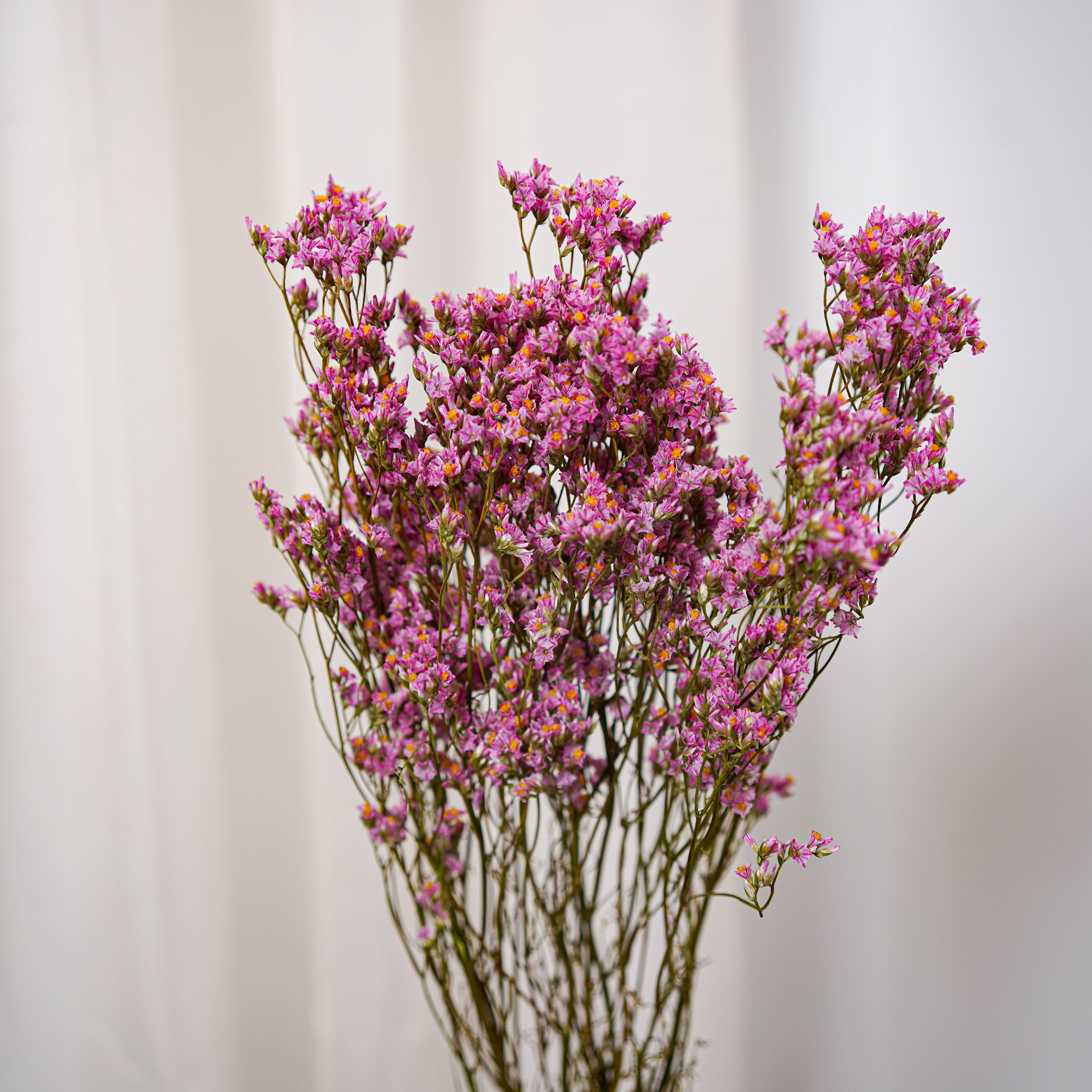 Flowrette Limonium botte fleurs séchées rose clair