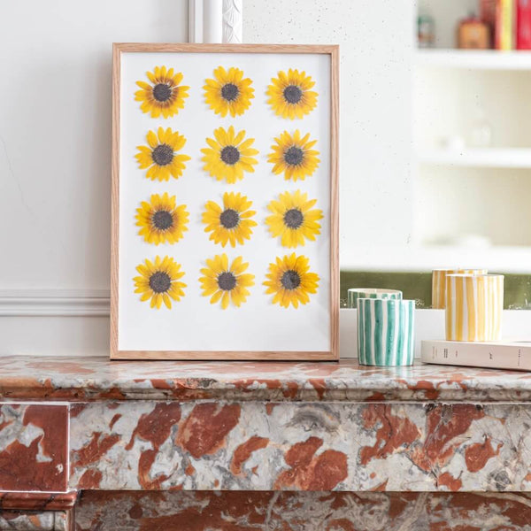 Flowrette Herbier tournesol fleurs pressées cadre jaune soleil