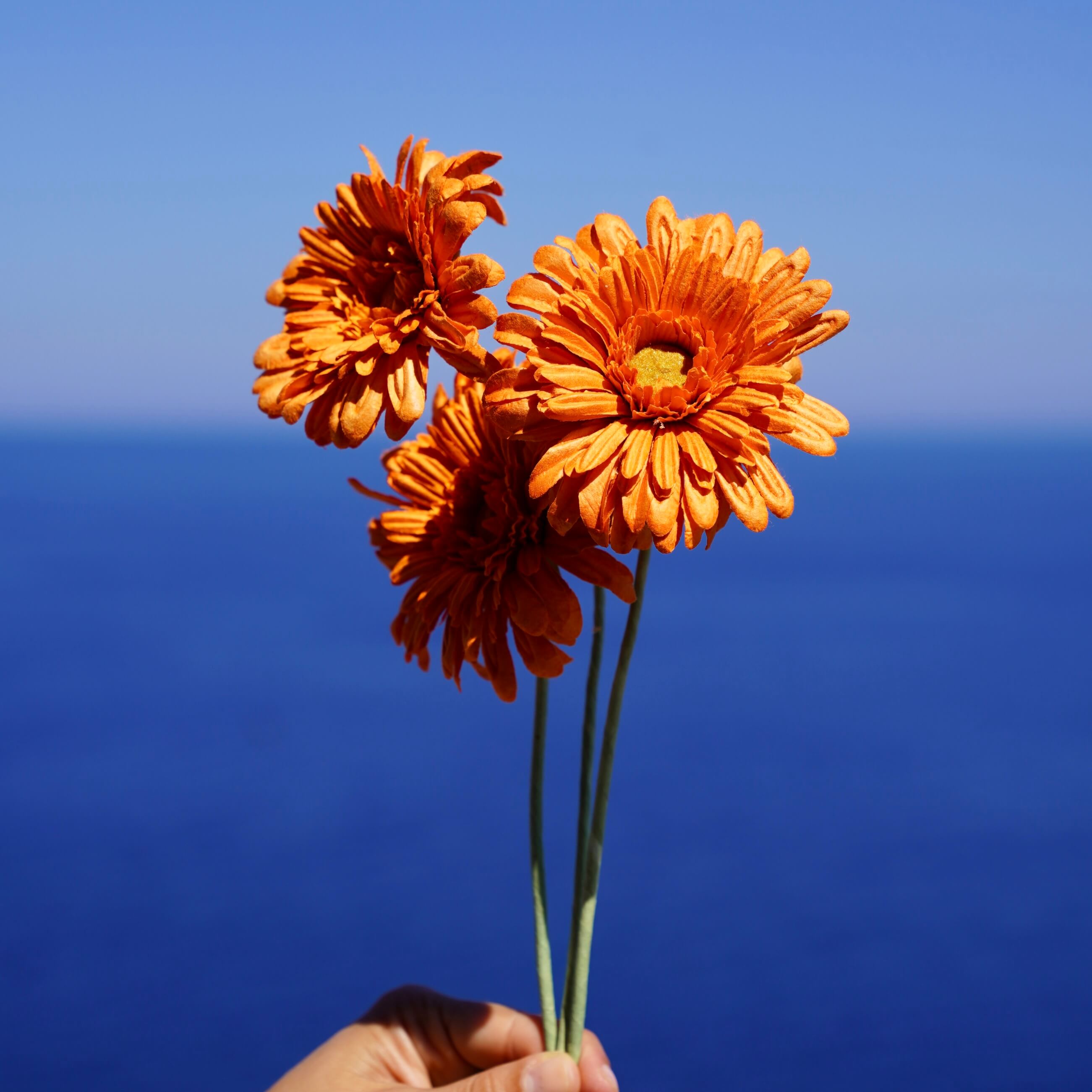 Flowrette Fleurs en papier gerbera orange fleur x1