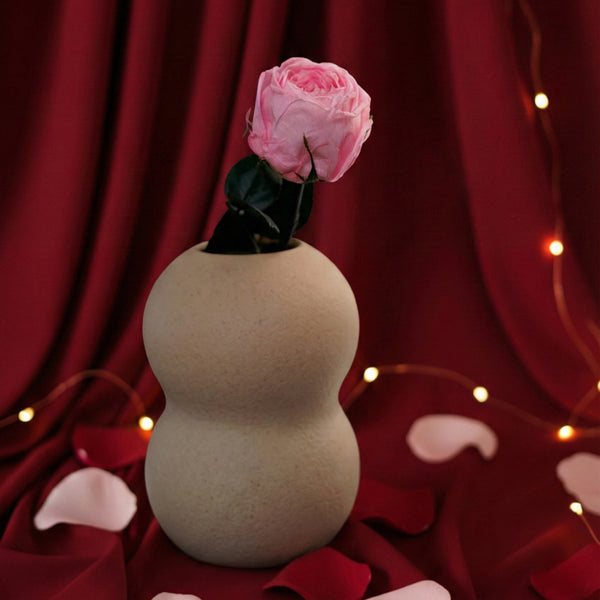 Flowrette Fleurs séchées rose anglaise stabilisée rose fleur séchée