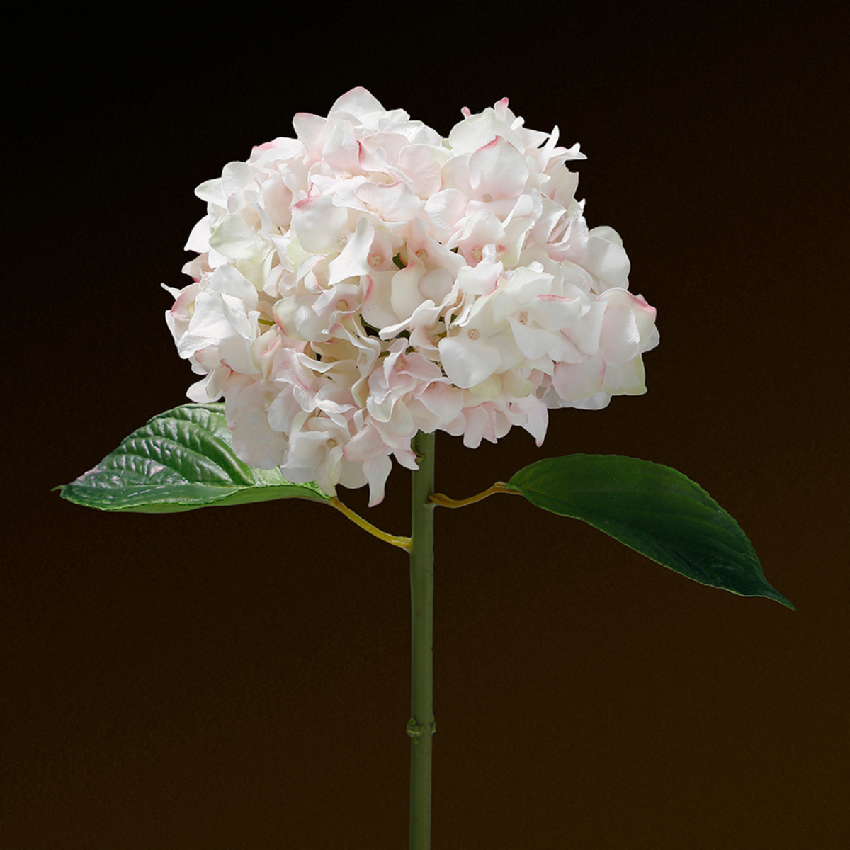 Sia Home Hortensia Premium 45 cm tige blanc et rose