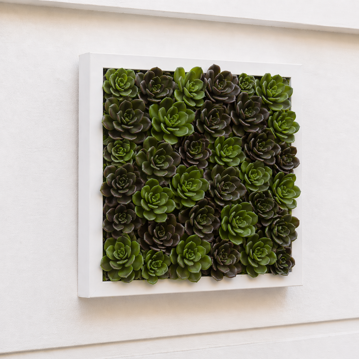 Sia Home Feuillage succulente tige 30 cm vert clair