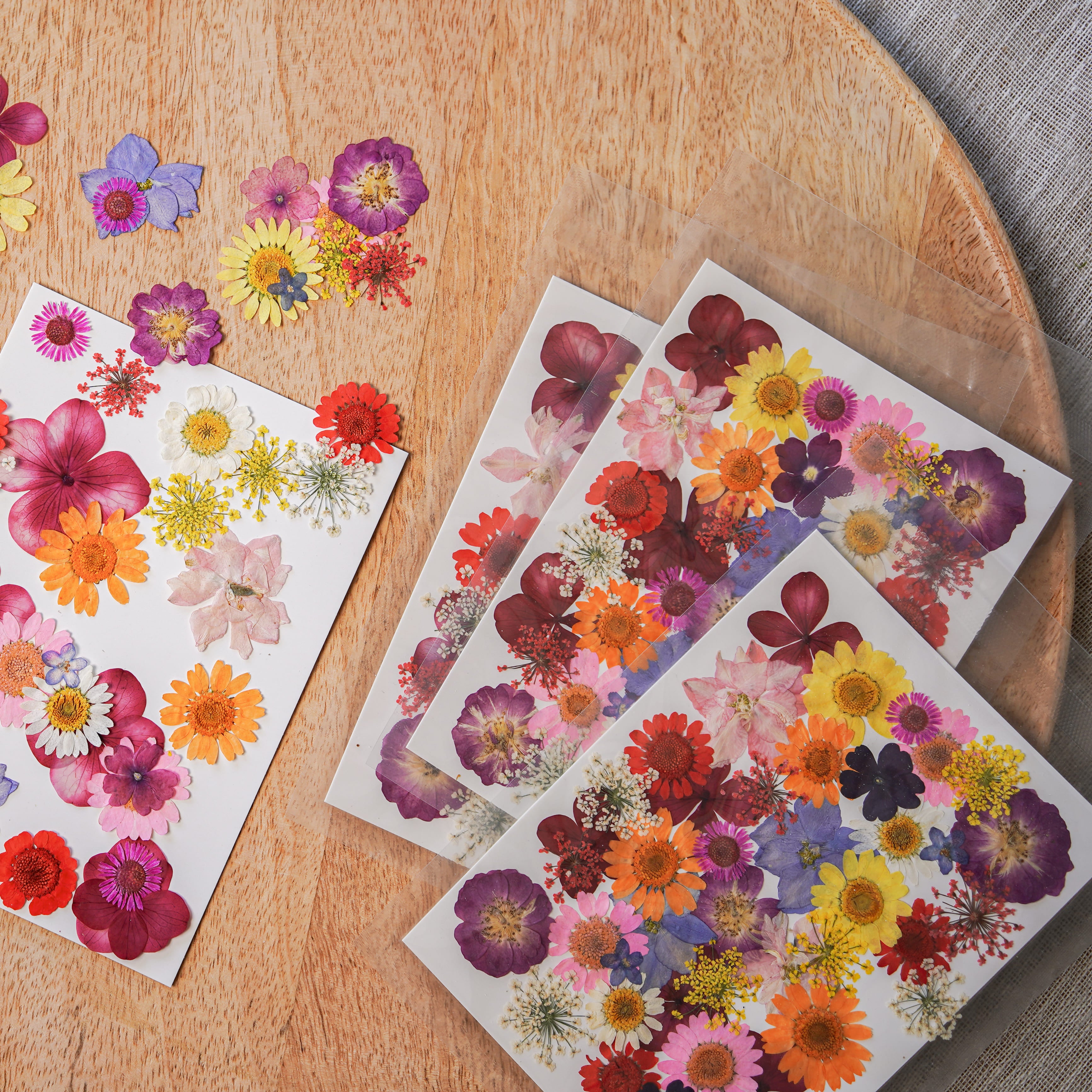 Flowrette Loisirs créatifs pochette fleurs pressées multicolores kit